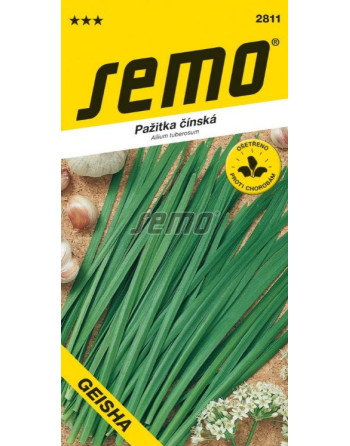 Pažitka GEISHA čínská - česneko-pažitka