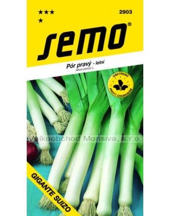 Por GIGANTE SUIZO - letní