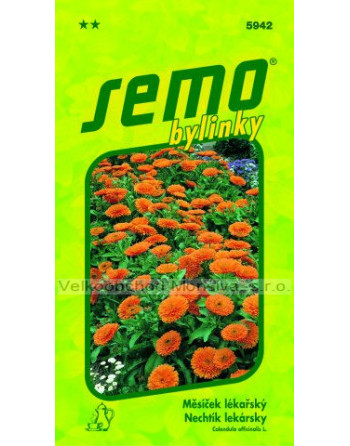Měsíček lékařský Plamen plus