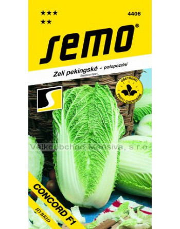 Pekingské zelí CONCORD F1 polopozdní